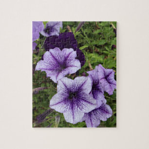 Puzzle Petunias Purpúreas
