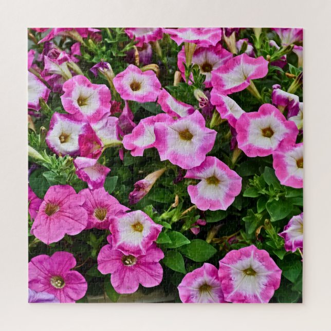Puzzle Petunias rosadas y violetas (Vertical)