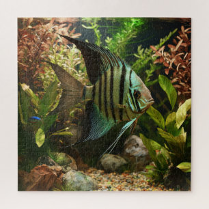Puzzle Pez ángel altum rayado