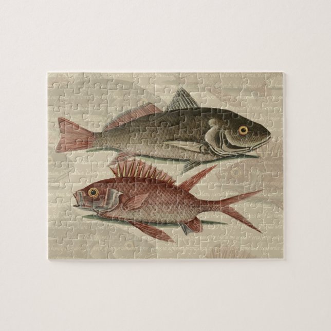 Puzzle Pez Lubina Roja Pescador Arte (Horizontal)