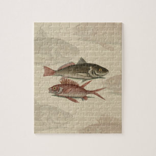 Puzzle Pez Lubina Roja Pescador Arte