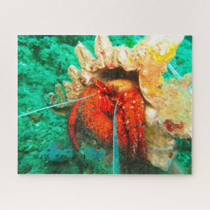 Puzzle Pez Tropical