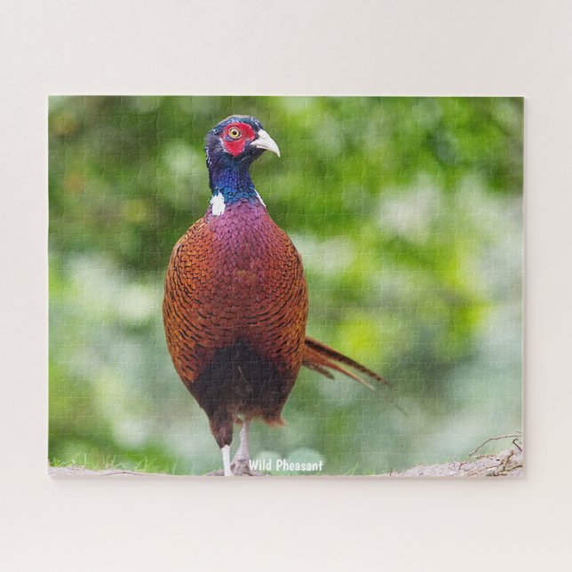 Puzzle Pheasant salvaje (Horizontal)