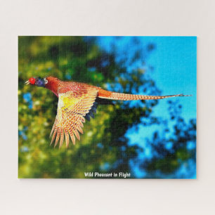 Puzzle Pheasant salvaje