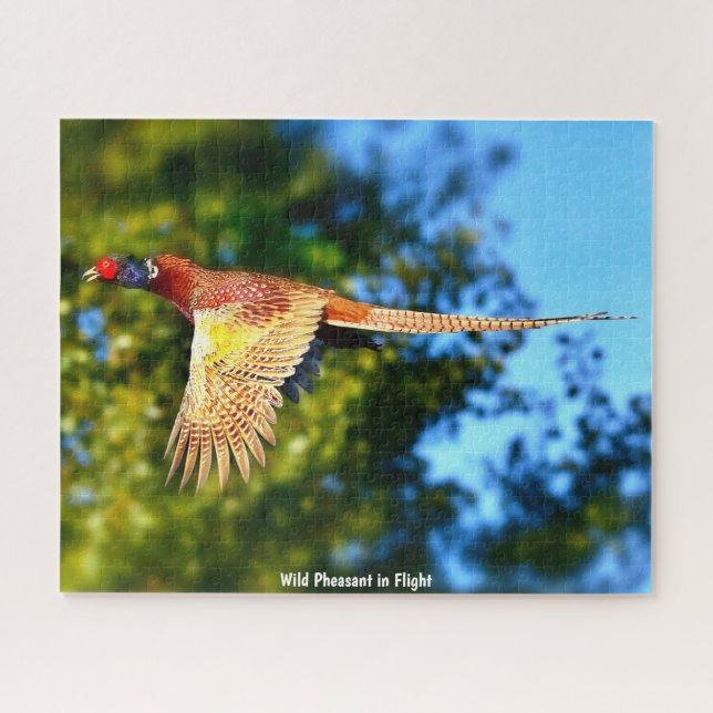 Puzzle Pheasant salvaje (Horizontal)