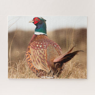 Puzzle Pheasant salvaje