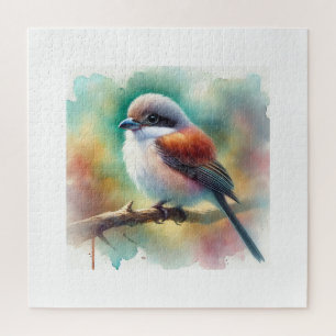 Puzzle Philippine Shrike 300824AREF122 - Watercolor