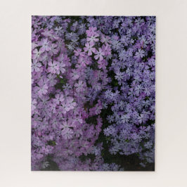 Puzzle Phlox en Abundancia