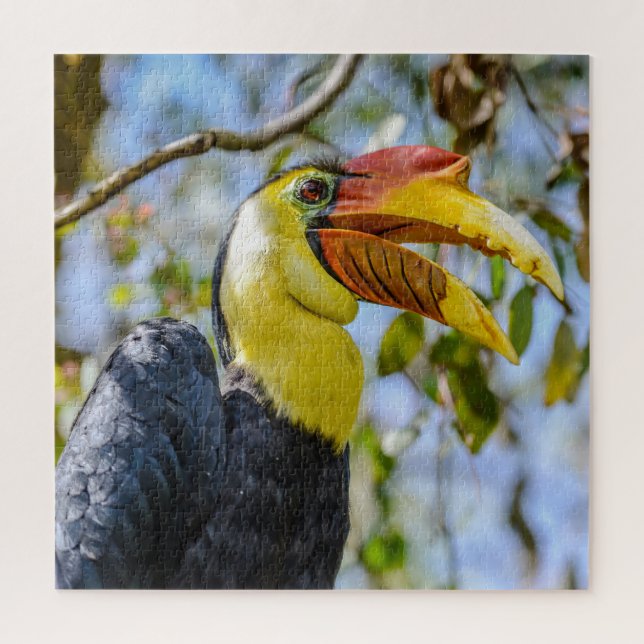 Puzzle Photo Closeup Wrinkled Hornbill Bird Leaves Square (Vertical)