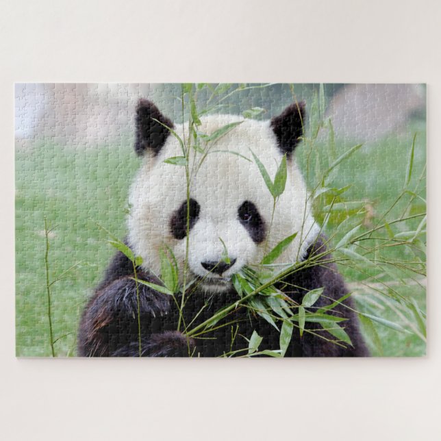 puzzle Photo gigante panda , animales 0341. (Horizontal)