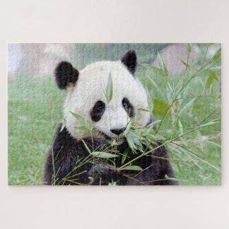 puzzle Photo gigante panda , animales 0343.