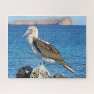 Puzzle pie azul