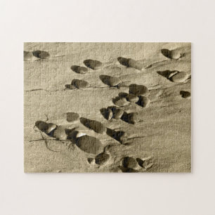 Puzzle Piedras en arena