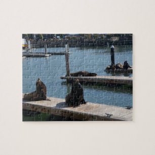 Puzzle Pier de San Francisco 39 leones marinos #3 rompeca