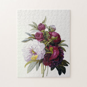 Puzzle Pierre Joseph Redoute - Peonies