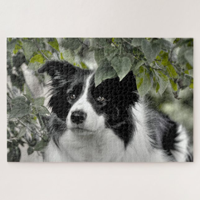 Puzzle Pieza de Woodland Border Collie 1014 (Horizontal)