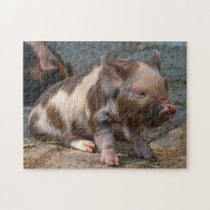 Puzzle Piglet Kune