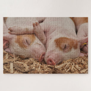 Puzzle Piglets