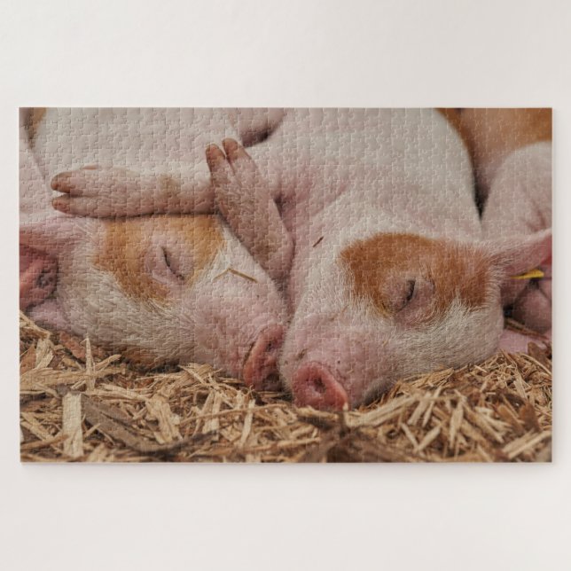 Puzzle Piglets (Horizontal)