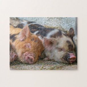 Puzzle Piglets Kune