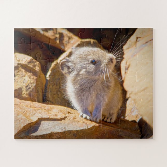 Puzzle Pika (Horizontal)