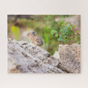 Puzzle Pika