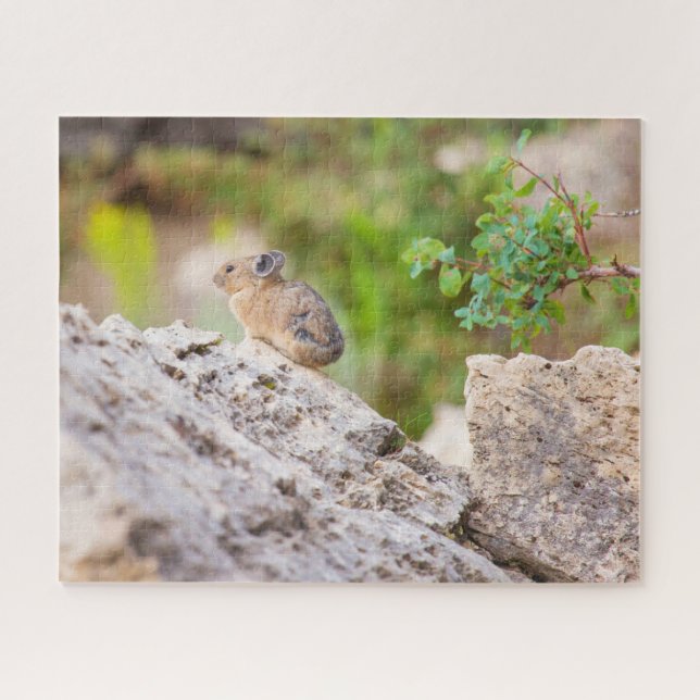 Puzzle Pika (Horizontal)