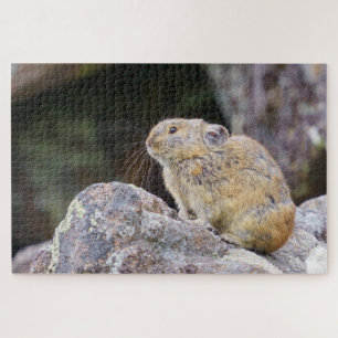 Puzzle Pika