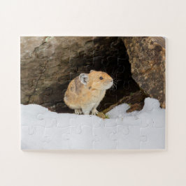 Puzzle Pika En Nieve