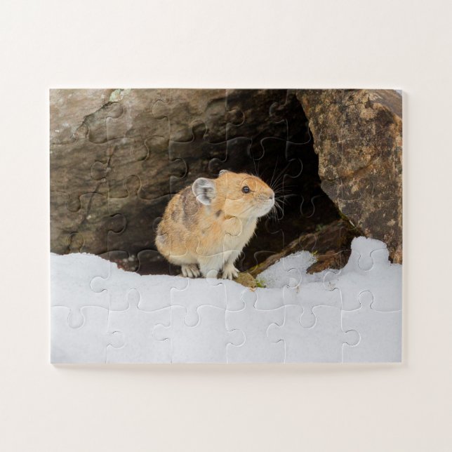 Puzzle Pika En Nieve (Horizontal)