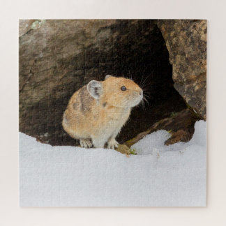 Puzzle Pika en nieve