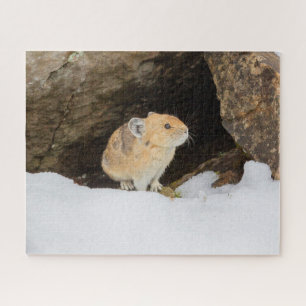 Puzzle Pika En Nieve