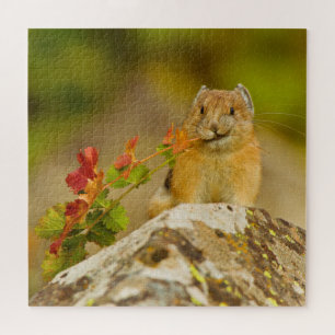 Puzzle Pika Sujetando Hojas En Boca