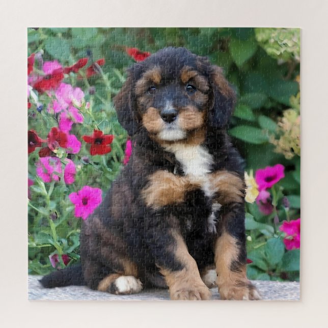 Puzzle Pimito bernedoodle en petunias (Vertical)