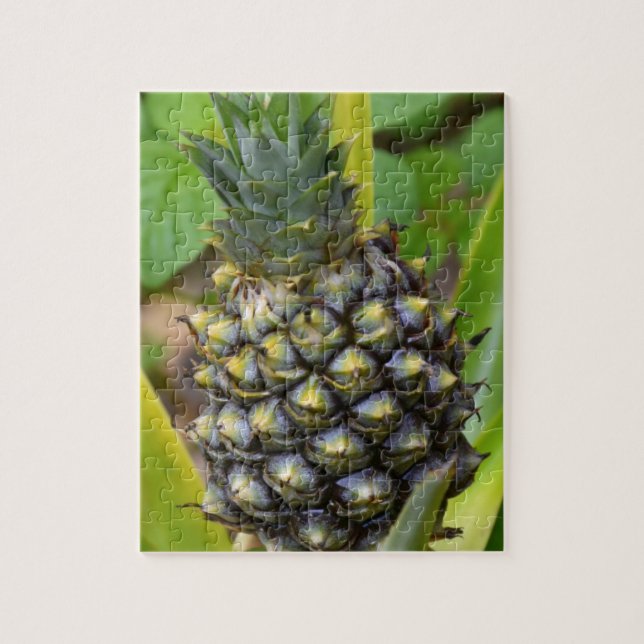 Puzzle Piña (Vertical)