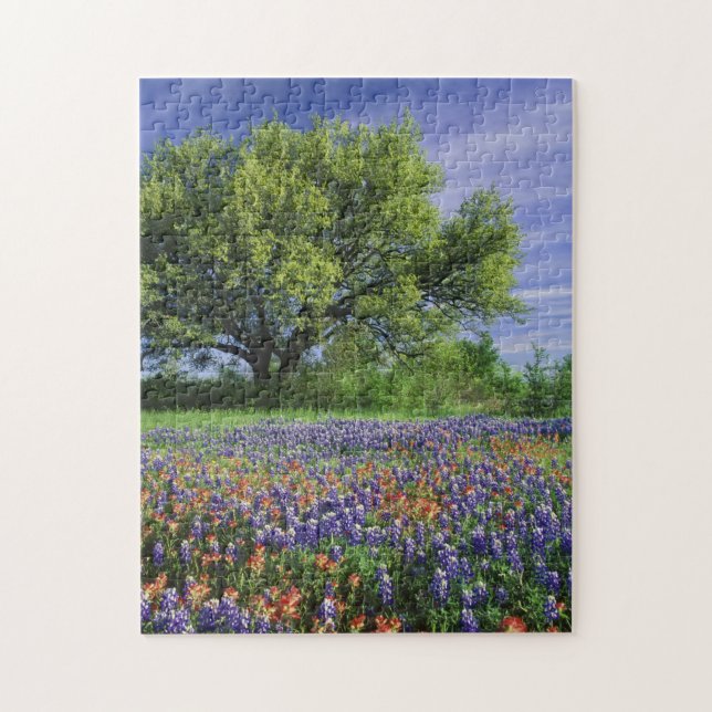 Puzzle Pincel de Texas y Oak en vivo (Vertical)