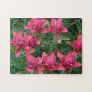 Puzzle Pincel indio