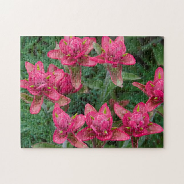 Puzzle Pincel indio (Horizontal)