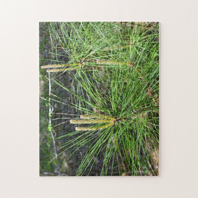 Puzzle Pine Needles por Kenneth Yoncich (Vertical)