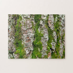 Puzzle Pine Tree Bark With Moss