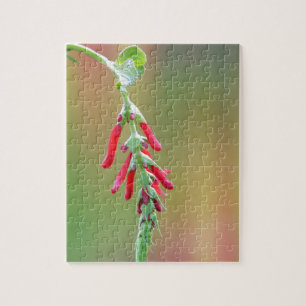 Puzzle Pineapple Sage Bloom