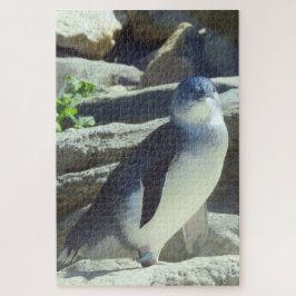Puzzle Pingüino