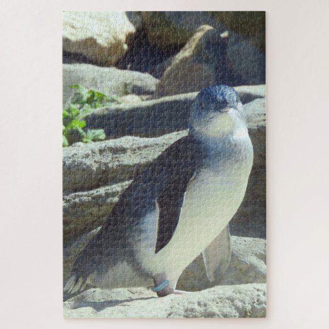 Puzzle Pingüino (Vertical)