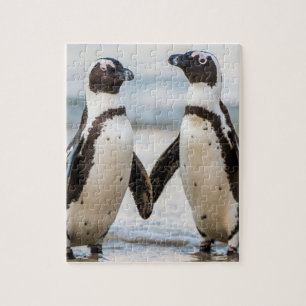 Puzzle Pingüino