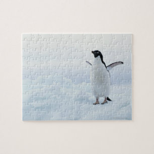 Puzzle Pingüino Adelie, Antártida