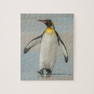 Puzzle Pingüino caminando en la playa