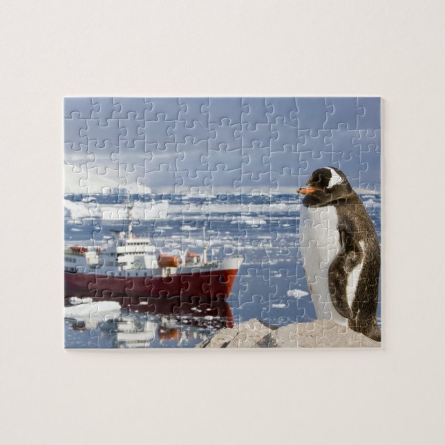 Puzzle Pingüino de Gentoo (Horizontal)