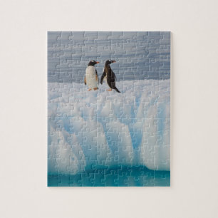 Puzzle pingüino de gentoo, Pygoscelis Papua, en hielo gla