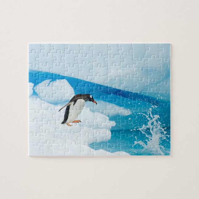Puzzle pingüino de gentoo, Pygoscelis Papua, saltando (Horizontal)