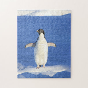 Puzzle Pingüino gracioso en hielo
